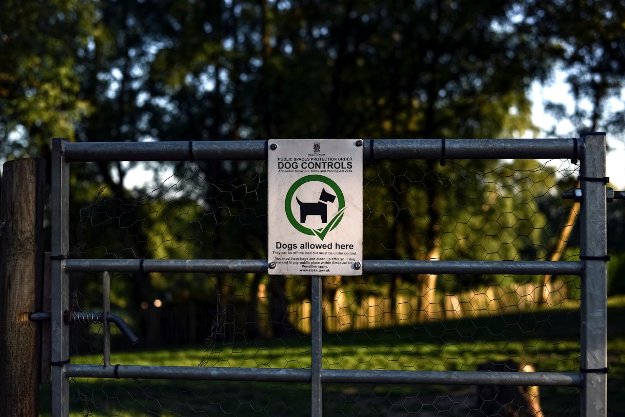 pexels photo 17296712.jpeg